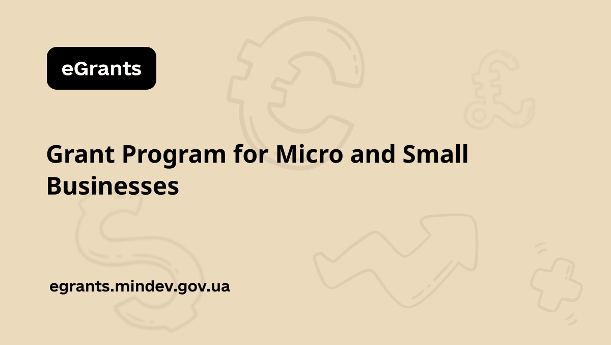 Grant Program for Micro and Small Businesses